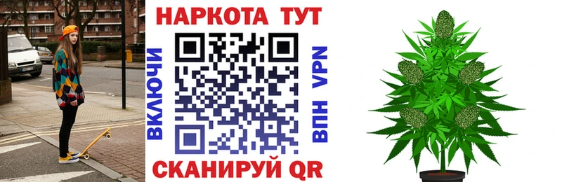 Где купить наркотики Севск Бошки Шишки Cocaine Alpha-PVP Меф мяу мяу