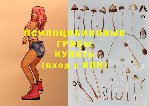 каннабис Белокуриха